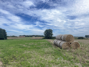 Działka Sprzedaż Więckowice Złoty Łan