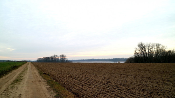Działka Sprzedaż Więckowice Złoty Łan 12