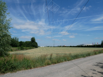 Działka Sprzedaż Zalasewo