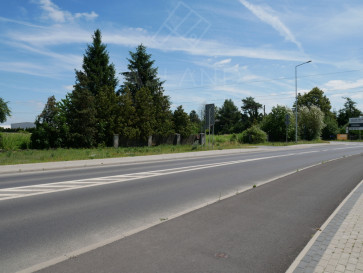 Działka Sprzedaż Zalasewo