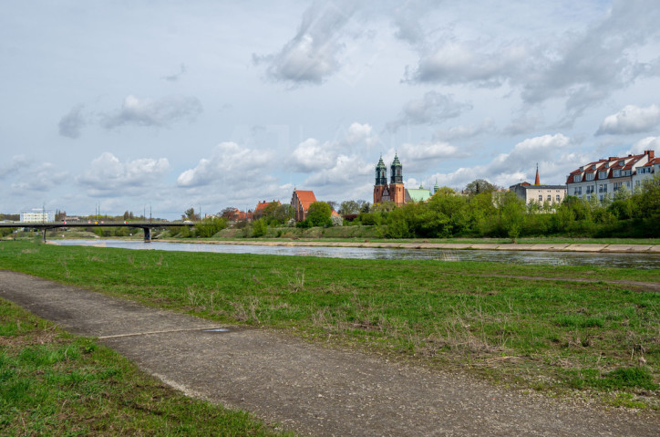 Mieszkanie Wynajem Poznań Łazienna 15