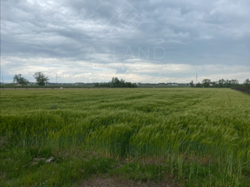 Działka Sprzedaż Poznań