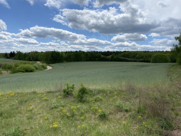 Działka Sprzedaż Potrzanowo Smolarki