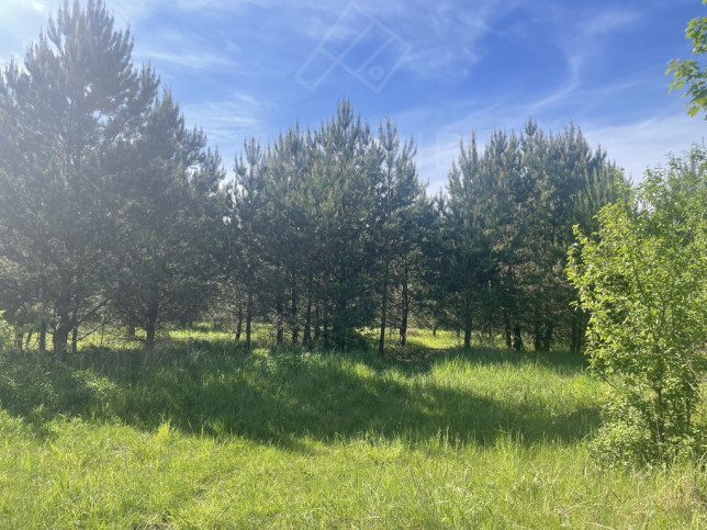 Działka Sprzedaż Biała 6